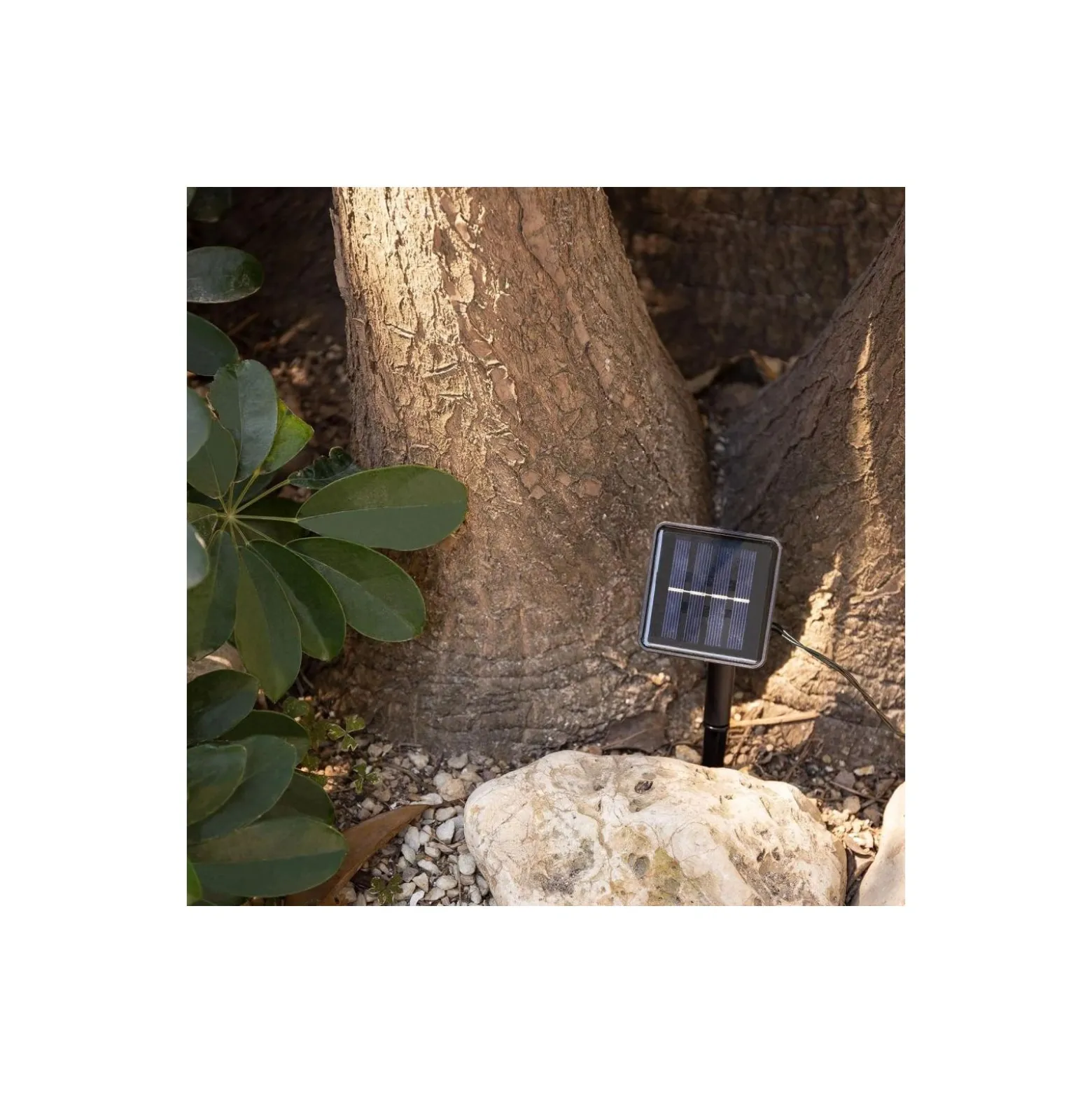 Bright Choice Ljusslinga LED Moonballs ABS 1W 20lm - 830 Varm Vit + RGB | IP65 - Solar