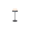 Eglo Bordslampa Meggiano Grå 1W 170lm - 830 Varm Vit | IP54 - Touch Dimbar