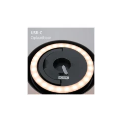 Eglo Bordslampa Meggiano Grå 1W 170lm - 830 Varm Vit | IP54 - Touch Dimbar