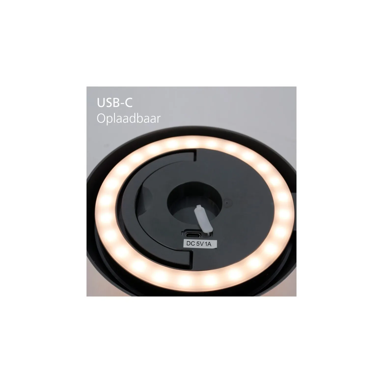 Eglo Bordslampa Meggiano Grå 1W 170lm - 830 Varm Vit | IP54 - Touch Dimbar