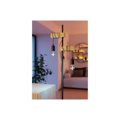 Eglo Connect.Z Smart LED Päron E27 Filament Ambar 9.8W 360lm - 827-865 Justerbar Vit | Dimbar - Ersättare 25W
