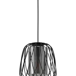 Eglo Pendellampa Floresta Stål Svart | Passande För 3x E27