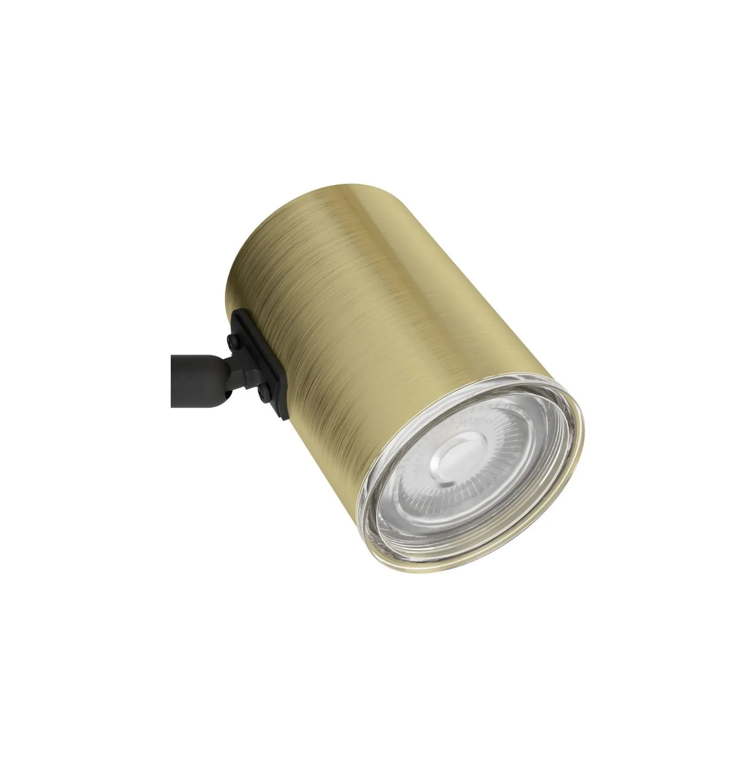 Eglo Vägglampa Consuma 1 Stål Svart Guld | IP44 - Passande för 1x GU10