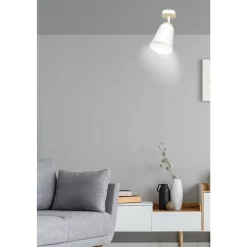 Emibig Taklampa Atlas Stål Vit | Passande för 1x E27 - Max 15W