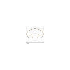 Ledvance LED Gatubelysning Area Urban Lykta Svart 59W 4730lm 145D - 830-840 CCT | IP66 - Symmetrisk