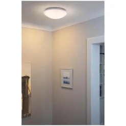 Ledvance LED Pollare Trunk Trä 7W 180lm - 830 Varm Vit | 50cm - IP44 - RGBW