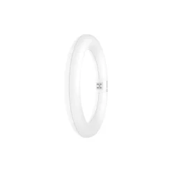 Ledvance LED Rör T9 Value Cirkulär (EM/Mains) 11W 1320lm - 865 Dagsljus | Ersättare 22W