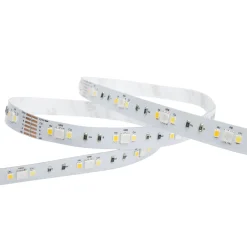 Noxion Led-Ljusslingor Naga 5 Meter 24V - 90LEDs/m - 12W/m - RGBW - 930-965 Justerbar Vit | 12mm - IP20 - Bästa Färgåtergivning - SMD2835+SMD5050