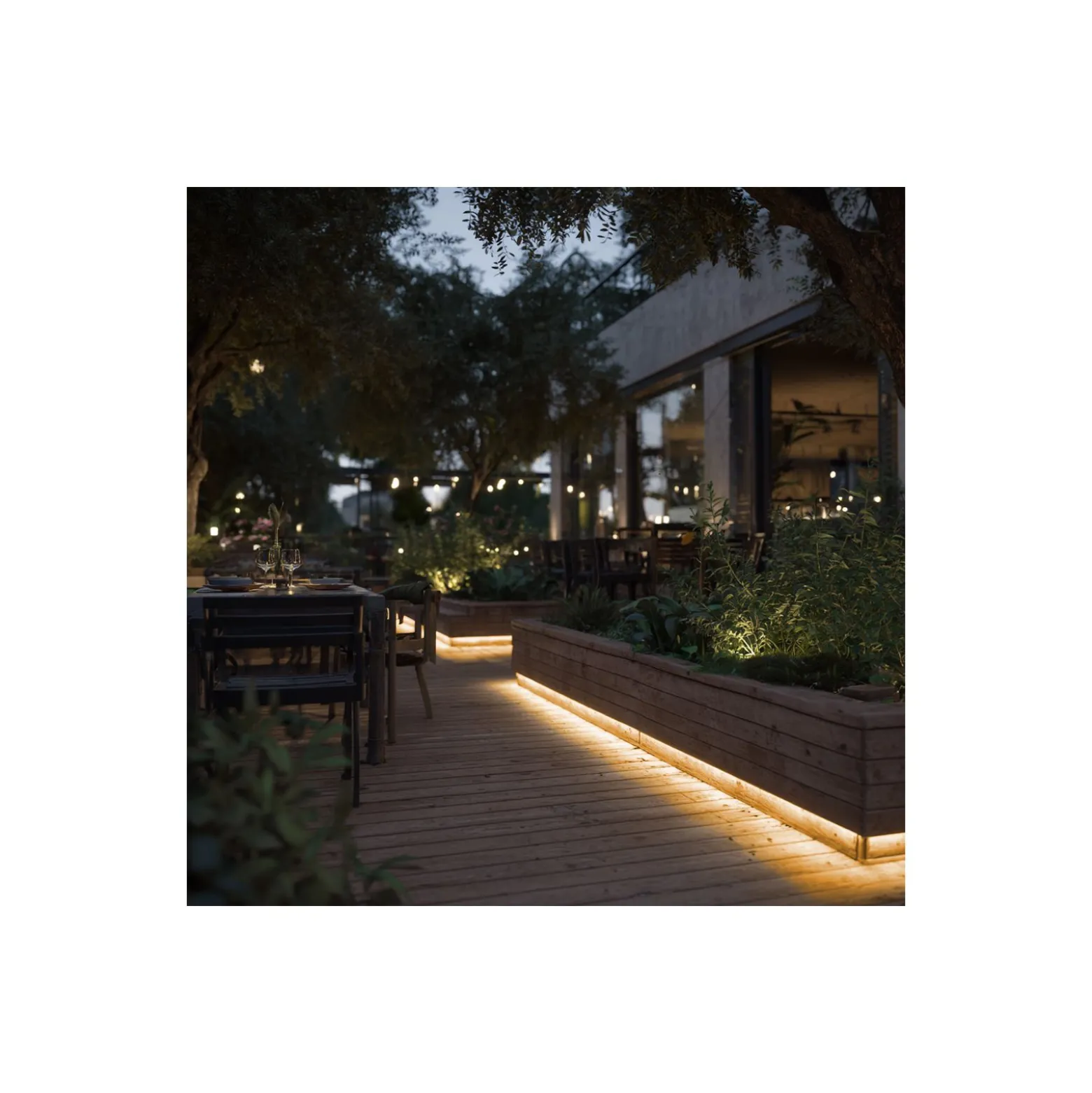 Noxion Led-Ljusslingor Naga 5 Meter 24V - 320LEDs/m - COB - 8W/m - 927 Extra Varm Vit | 8mm - IP65 - Bästa Färgåtergivning