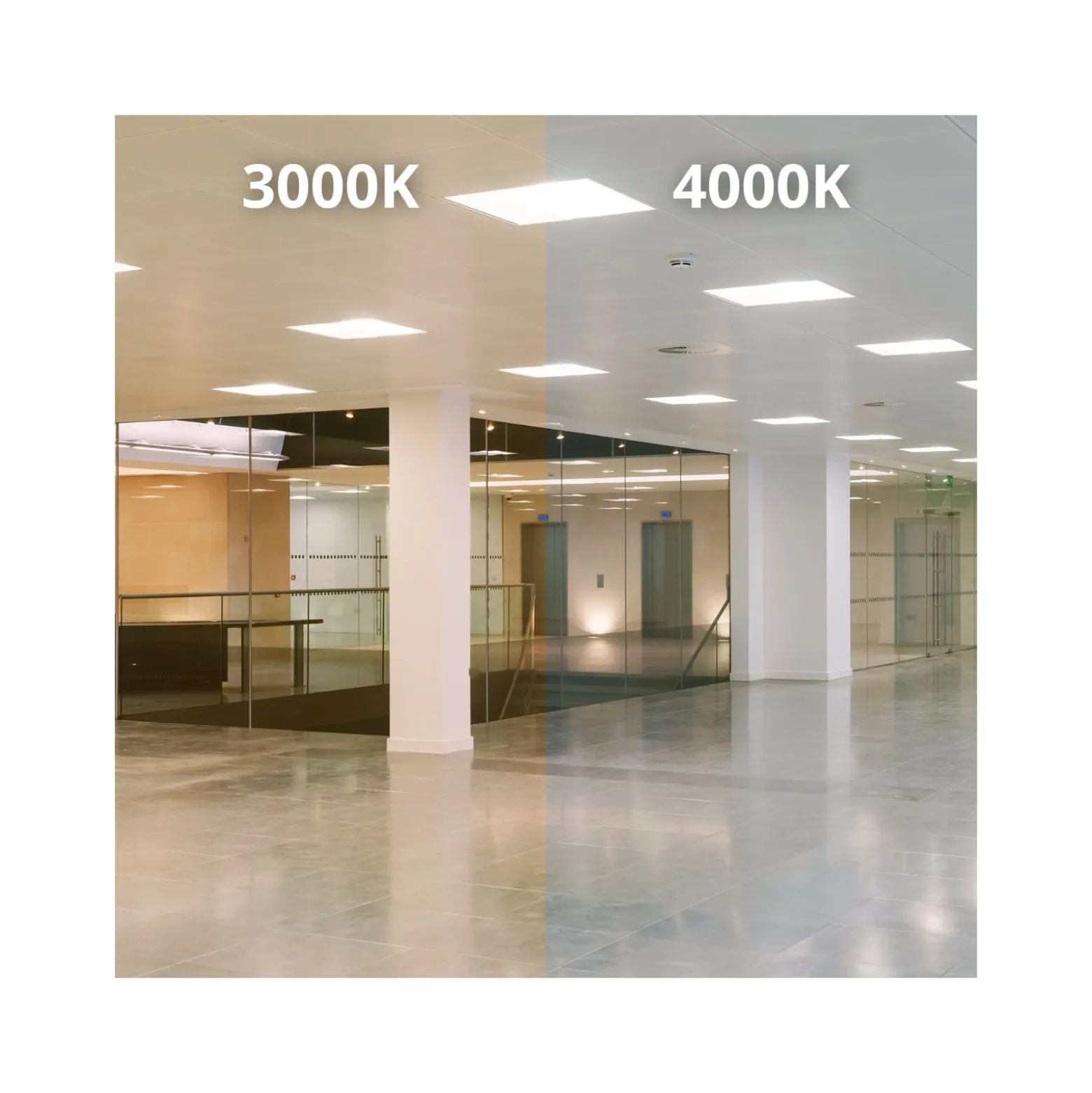 Noxion LED Panel Delta Pro V3 30W 3960lm - 830 Varm Vit | 60x60cm - UGR <19 - Philips Xitanium Drivdon - 3 Timmar Nödbelysning