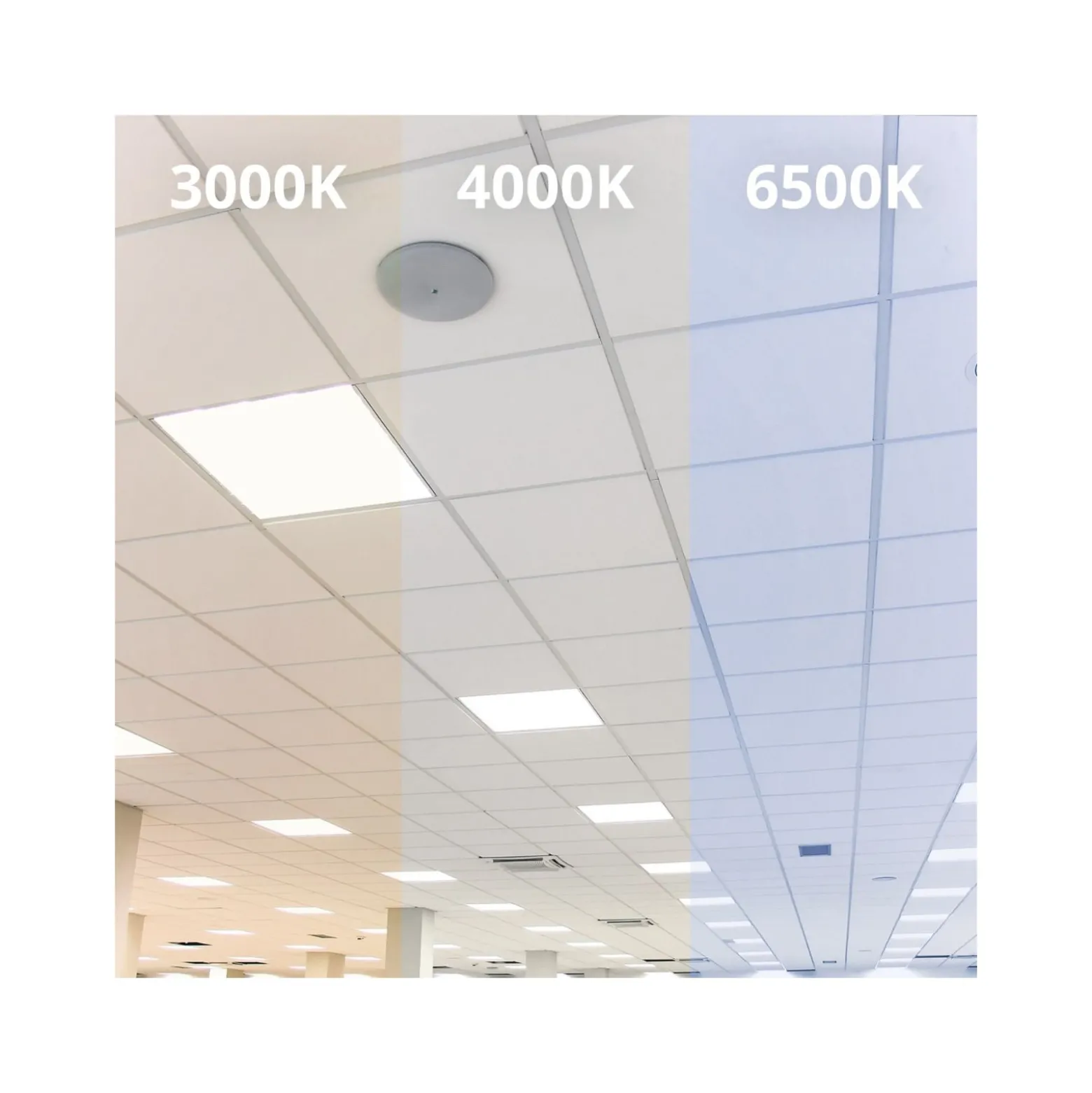 Noxion LED Panel Econox 32W 3900lm - 830 Varm Vit | 120x30cm - UGR <22 - Dali Dimbar - Philips Xitanium Drivdon