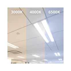 Noxion LED Rör T8 Avant Extreme (EM/Mains) Ultra Output 15.9W 2550lm - 830 Varm Vit | 120cm - Ersättare 36W