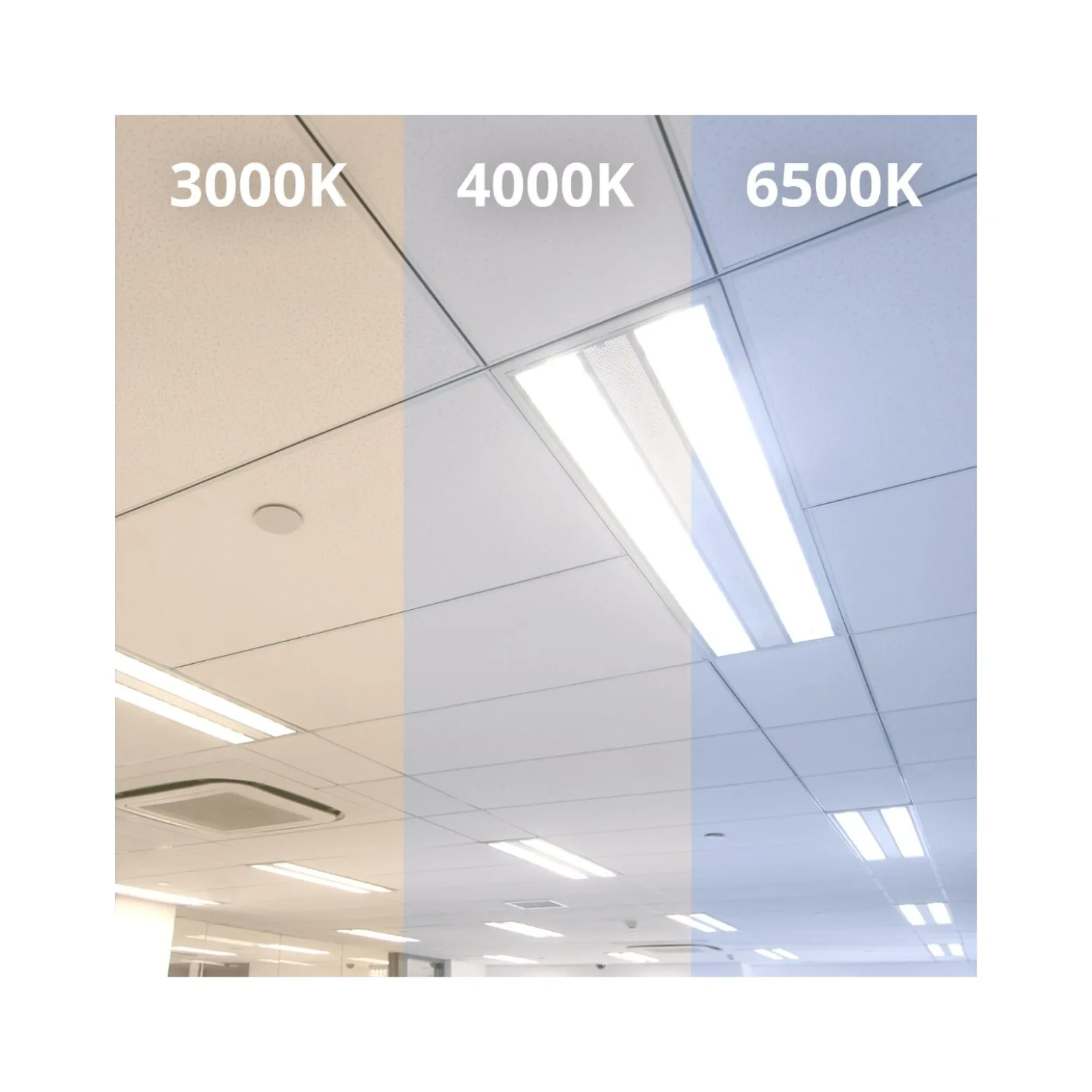 Noxion LED Rör T8 Avant Extreme (EM/Mains) Ultra Output 15.9W 2550lm - 830 Varm Vit | 120cm - Ersättare 36W