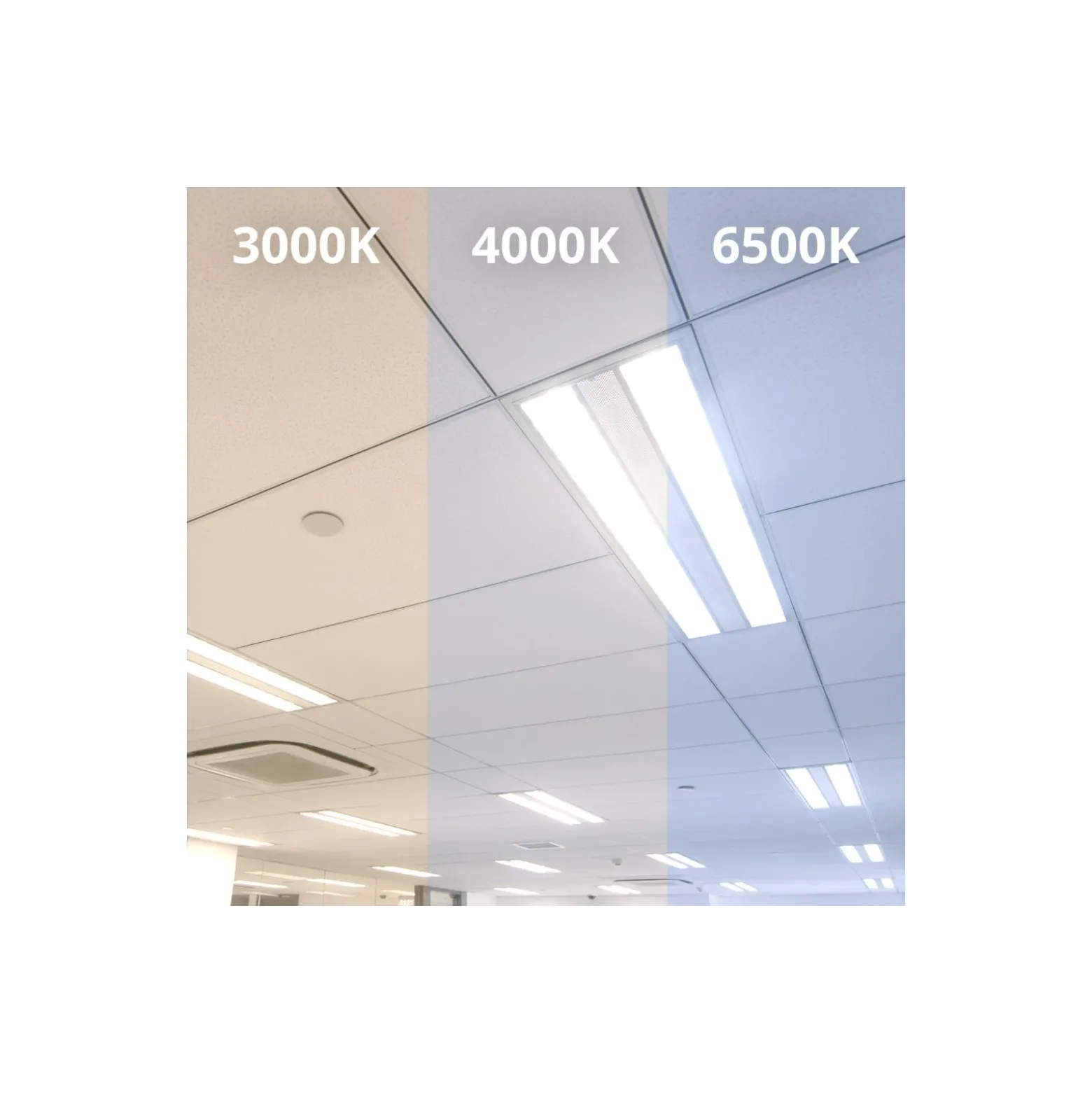Noxion LED Rör T8 Avant Extreme (EM/Mains) Ultra Output 15.9W 2550lm - 865 Dagsljus | 120cm - Ersättare 36W