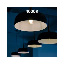 Noxion Lucent LED E27 Päron Filament Klar 4.5W 470lm - 840 Kallvit | Ersättare 40W