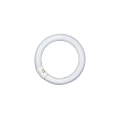 Osram T9 Lumilux Circline 32W - 840 Kallvit | 30cm