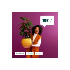 WiZ Smart LED E27 Globe G95 Filament Guld 7W 640lm | Bästa Färgåtergivning - Dimbar - Ersättare 50W