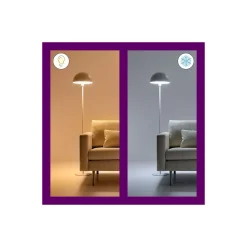 WiZ Smart LED E27 Päron Filament Matt 19W 2452lm | Bästa Färgåtergivning - Dimbar - Ersättare 150W