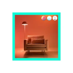 WiZ Smart LED E27 Päron Filament Matt 19W 2452lm | Bästa Färgåtergivning - Dimbar - Ersättare 150W